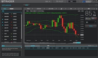 投資軟件報(bào)價(jià)與廠家選擇指南